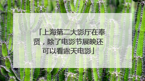 上海第二大影厅在奉贤，除了电影节展映还可以看露天电影