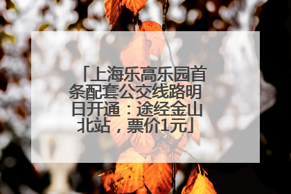 上海乐高乐园首条配套公交线路明日开通：途经金山北站，票价1元