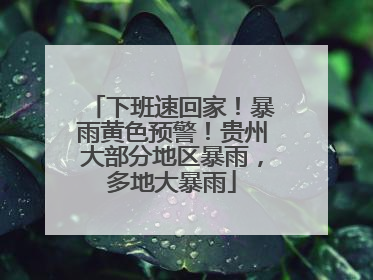 下班速回家！暴雨黄色预警！贵州大部分地区暴雨，多地大暴雨