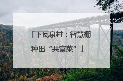 下瓦泉村：智慧棚种出“共富菜”