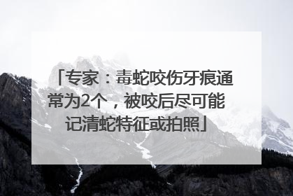 专家：毒蛇咬伤牙痕通常为2个，被咬后尽可能记清蛇特征或拍照