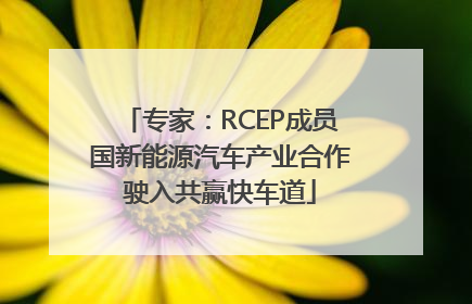 专家：RCEP成员国新能源汽车产业合作驶入共赢快车道