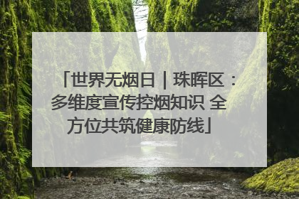 世界无烟日｜珠晖区：多维度宣传控烟知识 全方位共筑健康防线