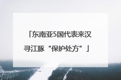 东南亚5国代表来汉寻江豚“保护处方”