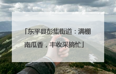 东平县彭集街道：满棚南瓜香，丰收采摘忙