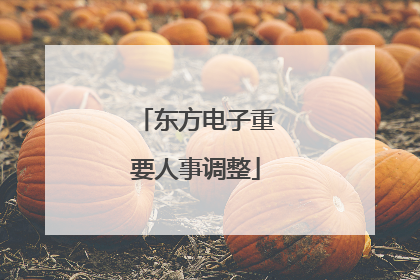 东方电子重要人事调整