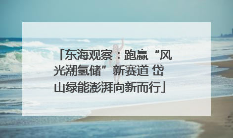 东海观察：跑赢“风光潮氢储”新赛道 岱山绿能澎湃向新而行