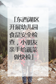 东西湖区开展幼儿园食品安全检查，小朋友亲手给蔬菜做快检