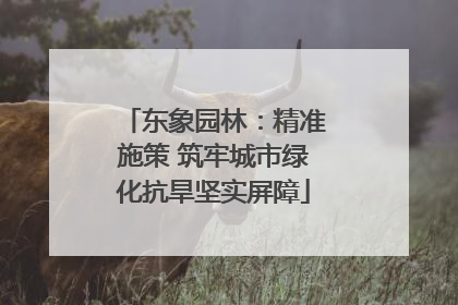 东象园林：精准施策 筑牢城市绿化抗旱坚实屏障