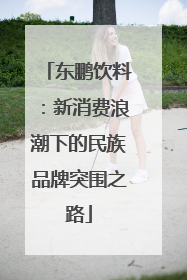 东鹏饮料：新消费浪潮下的民族品牌突围之路