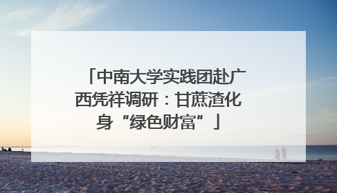 中南大学实践团赴广西凭祥调研:甘蔗渣化身“绿色财富”