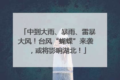 中到大雨、暴雨、雷暴大风！台风“蝴蝶”来袭，或将影响湖北！