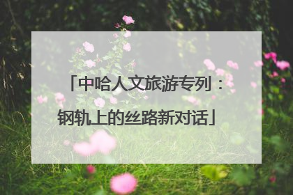 中哈人文旅游专列：钢轨上的丝路新对话