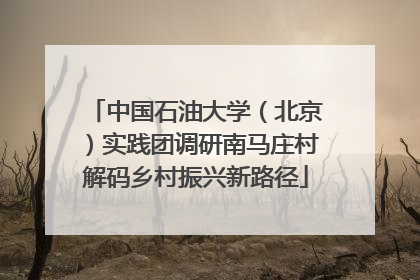 中国石油大学（北京）实践团调研南马庄村解码乡村振兴新路径