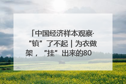 中国经济样本观察·“镇”了不起｜为衣做架，“挂”出来的80亿元“衣架产业”