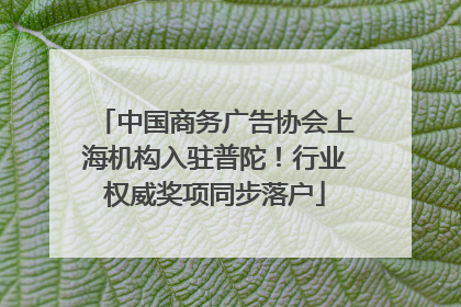 中国商务广告协会上海机构入驻普陀！行业权威奖项同步落户