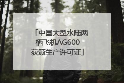 中国大型水陆两栖飞机AG600获颁生产许可证