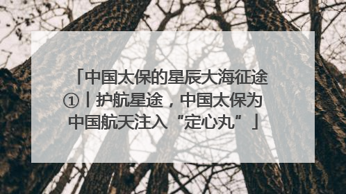 中国太保的星辰大海征途①丨护航星途，中国太保为中国航天注入“定心丸”