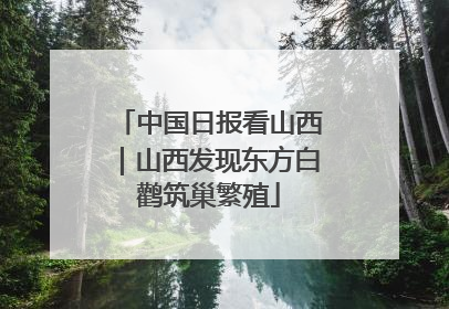 中国日报看山西｜山西发现东方白鹳筑巢繁殖