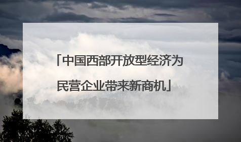 中国西部开放型经济为民营企业带来新商机