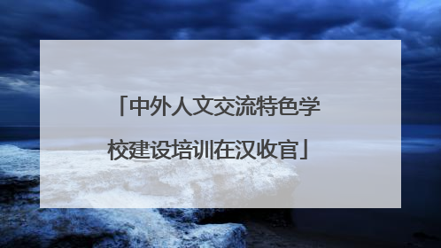 中外人文交流特色学校建设培训在汉收官