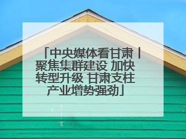 中央媒体看甘肃丨聚焦集群建设 加快转型升级 甘肃支柱产业增势强劲