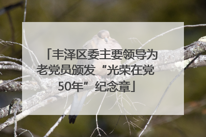 丰泽区委主要领导为老党员颁发“光荣在党50年”纪念章