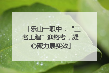 乐山一职中：“三名工程”迎终考，凝心聚力展实效