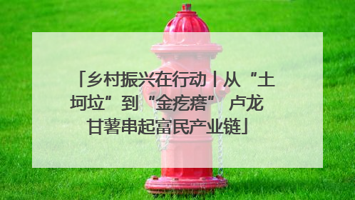 乡村振兴在行动丨从“土坷垃”到“金疙瘩” 卢龙甘薯串起富民产业链