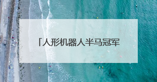 人形机器人半马冠军的“同胞兄弟”亮相深圳文博会北京展区