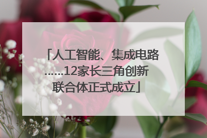 人工智能、集成电路……12家长三角创新联合体正式成立
