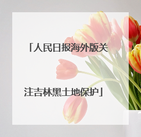 人民日报海外版关注吉林黑土地保护