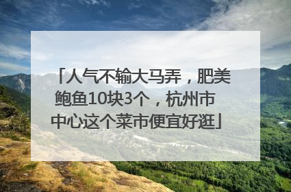 人气不输大马弄，肥美鲍鱼10块3个，杭州市中心这个菜市便宜好逛