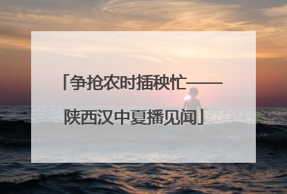 争抢农时插秧忙——陕西汉中夏播见闻