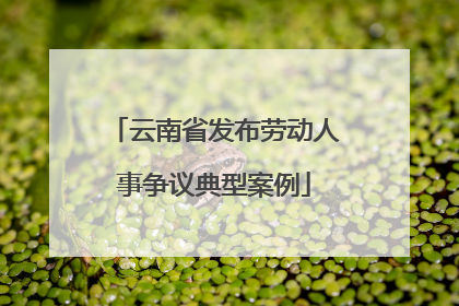 云南省发布劳动人事争议典型案例
