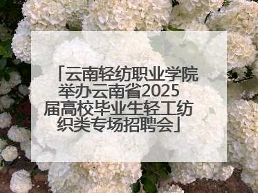 云南轻纺职业学院举办云南省2025届高校毕业生轻工纺织类专场招聘会