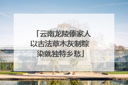 云南龙陵傣家人以古法草木灰制粽 染就独特乡愁