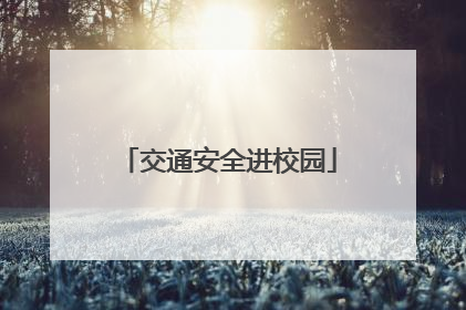 交通安全进校园