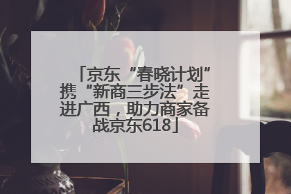 京东“春晓计划”携“新商三步法”走进广西，助力商家备战京东618