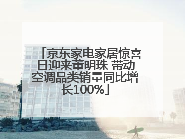 京东家电家居惊喜日迎来董明珠 带动空调品类销量同比增长100%