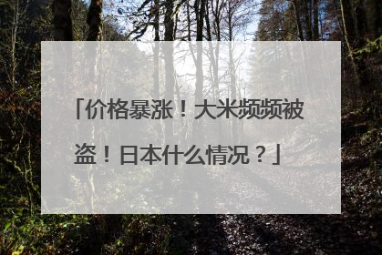 价格暴涨！大米频频被盗！日本什么情况？