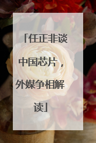 任正非谈中国芯片，外媒争相解读