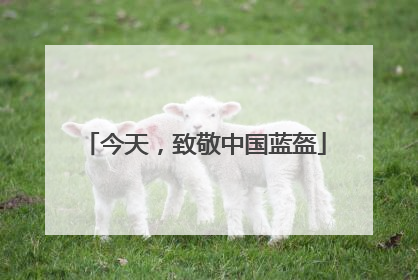 今天，致敬中国蓝盔