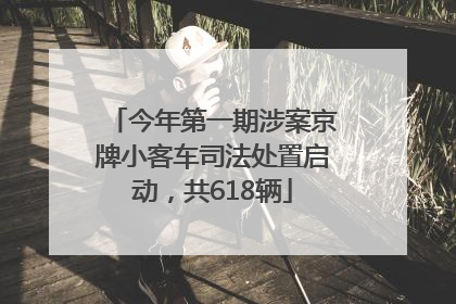 今年第一期涉案京牌小客车司法处置启动，共618辆