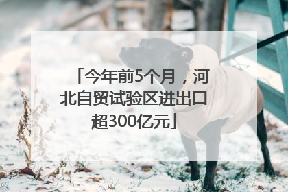 今年前5个月，河北自贸试验区进出口超300亿元