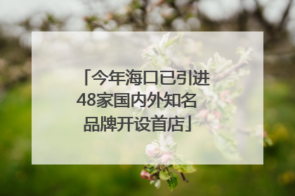 今年海口已引进48家国内外知名品牌开设首店