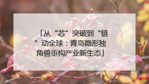 从“芯”突破到“链”动全球：青岛隐形独角兽重构产业新生态