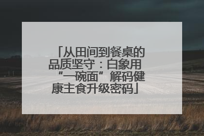从田间到餐桌的品质坚守：白象用“一碗面”解码健康主食升级密码