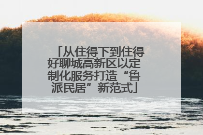 从住得下到住得好聊城高新区以定制化服务打造“鲁派民居”新范式