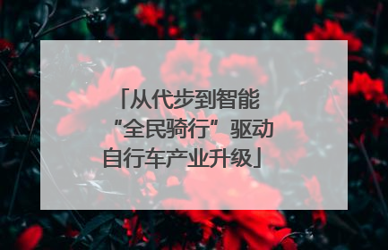 从代步到智能 “全民骑行”驱动自行车产业升级